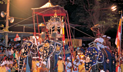 Kandy Perahera (Esala Perahera)