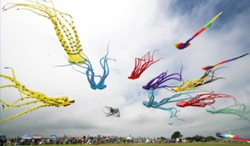 National Festival of Kites