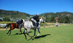 Nuwara Eliya