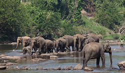 Lunugamvehera National Park